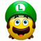 Luigi Super Mario Bros